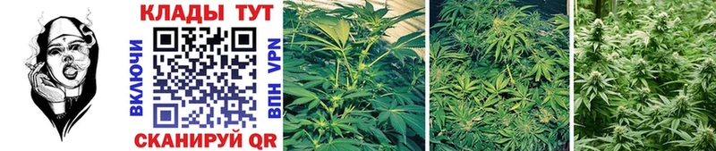 Где продают наркотики Сосновоборск blacksprut ССЫЛКА Кокаин ГАШИШ Меф Марихуана