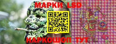 стафф Будённовск