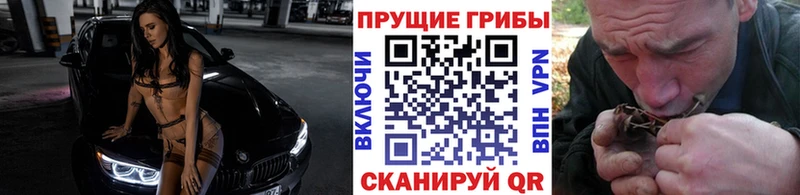 Галлюциногенные грибы Psilocybe  Сосновоборск 