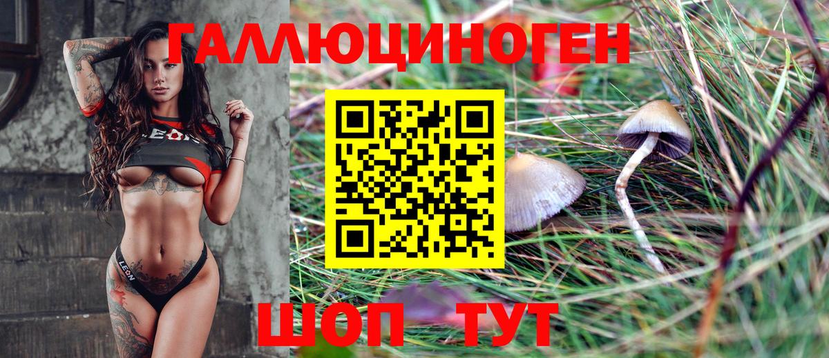 Псилоцибиновые грибы ЛСД  хочу наркоту  Сосновоборск 