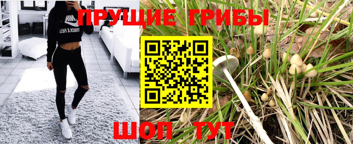 Сосновоборск  Галлюциногенные грибы Magic Shrooms  Вход с VPN 