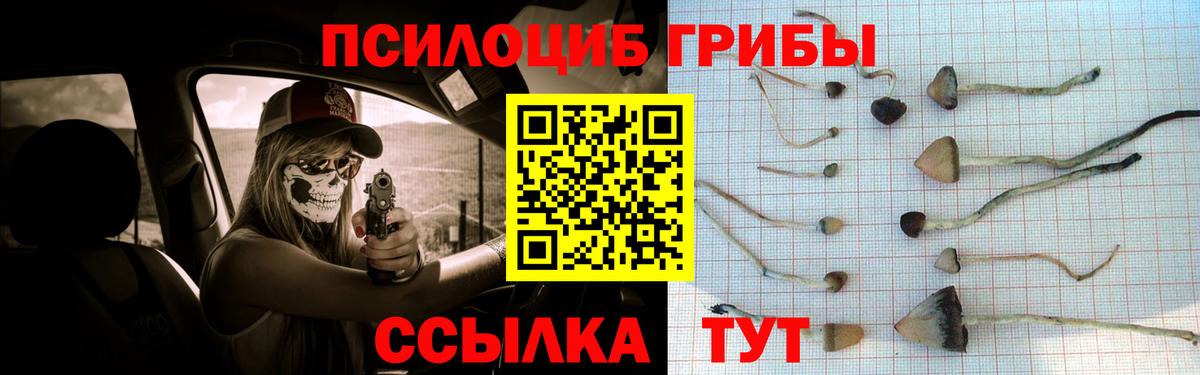 Псилоцибиновые грибы MAGIC MUSHROOMS Сосновоборск